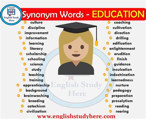 EDUCATION Synonyms .